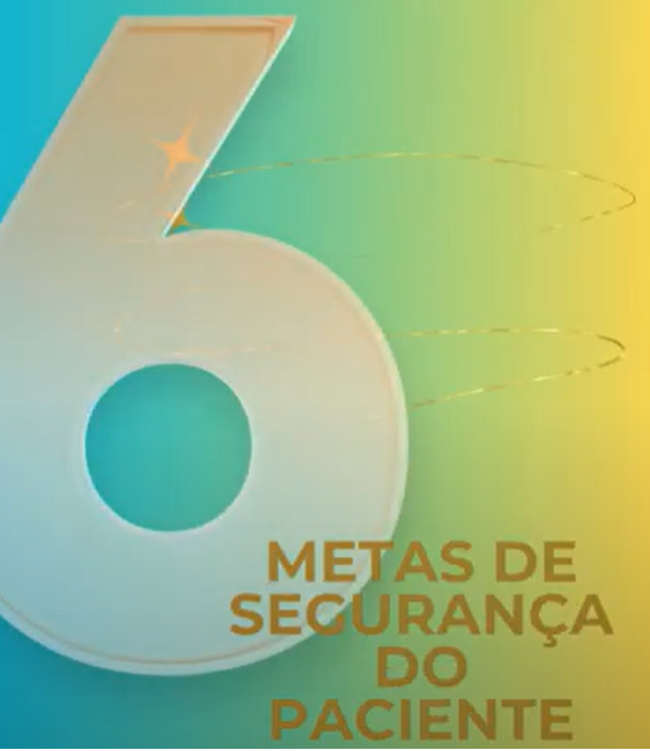6 Metas de Segurança do Paciente